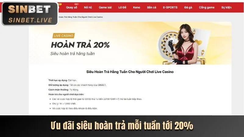 Giao diện nền tảng 88net và sảnh Baccarat